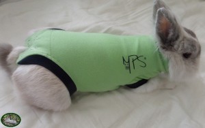 MPS Medical Pet Shirt