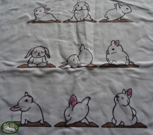 Shirt Bunny Language - afbeelding